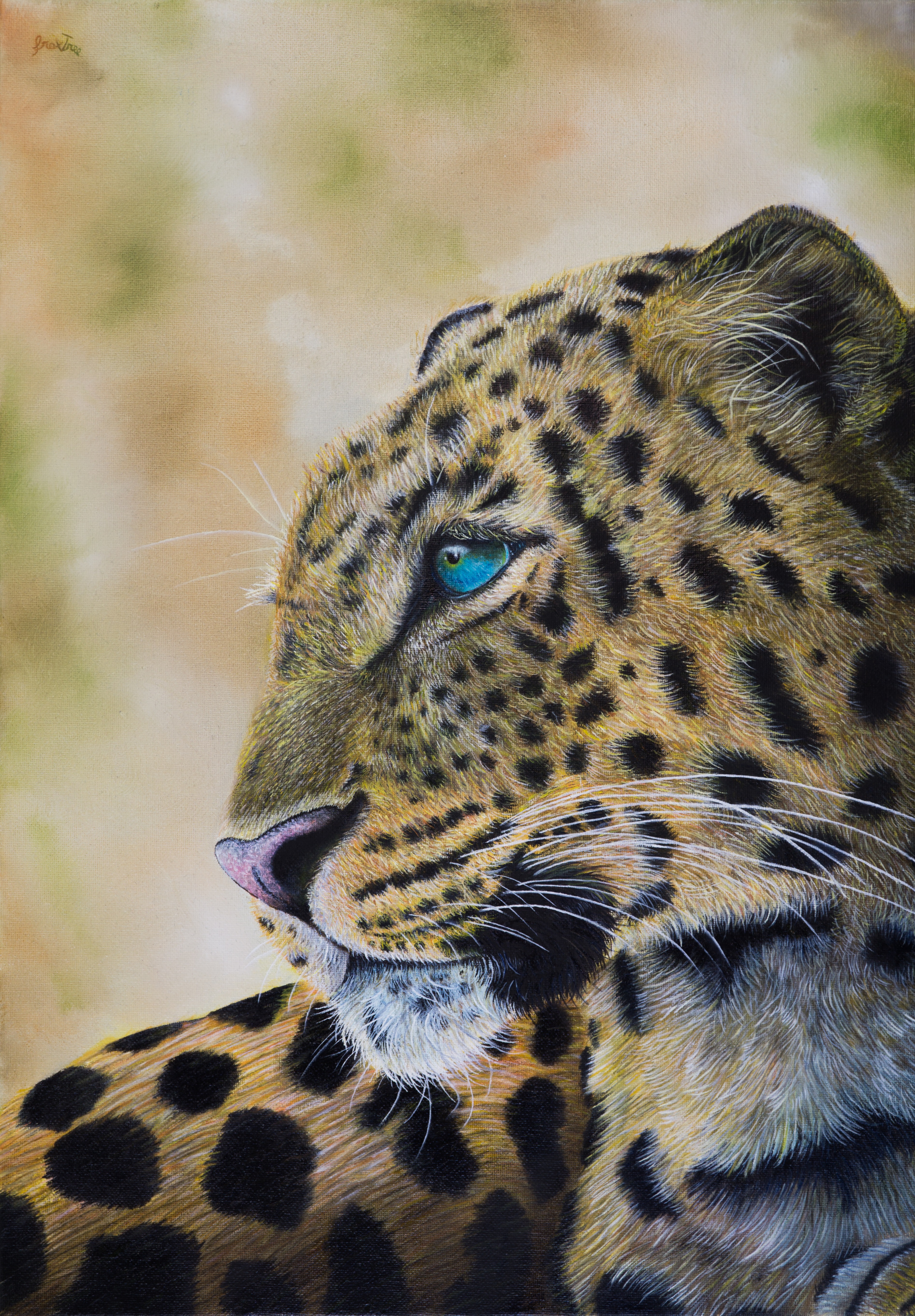Leopardo