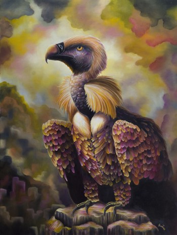 Condor
