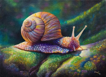 Lumaca